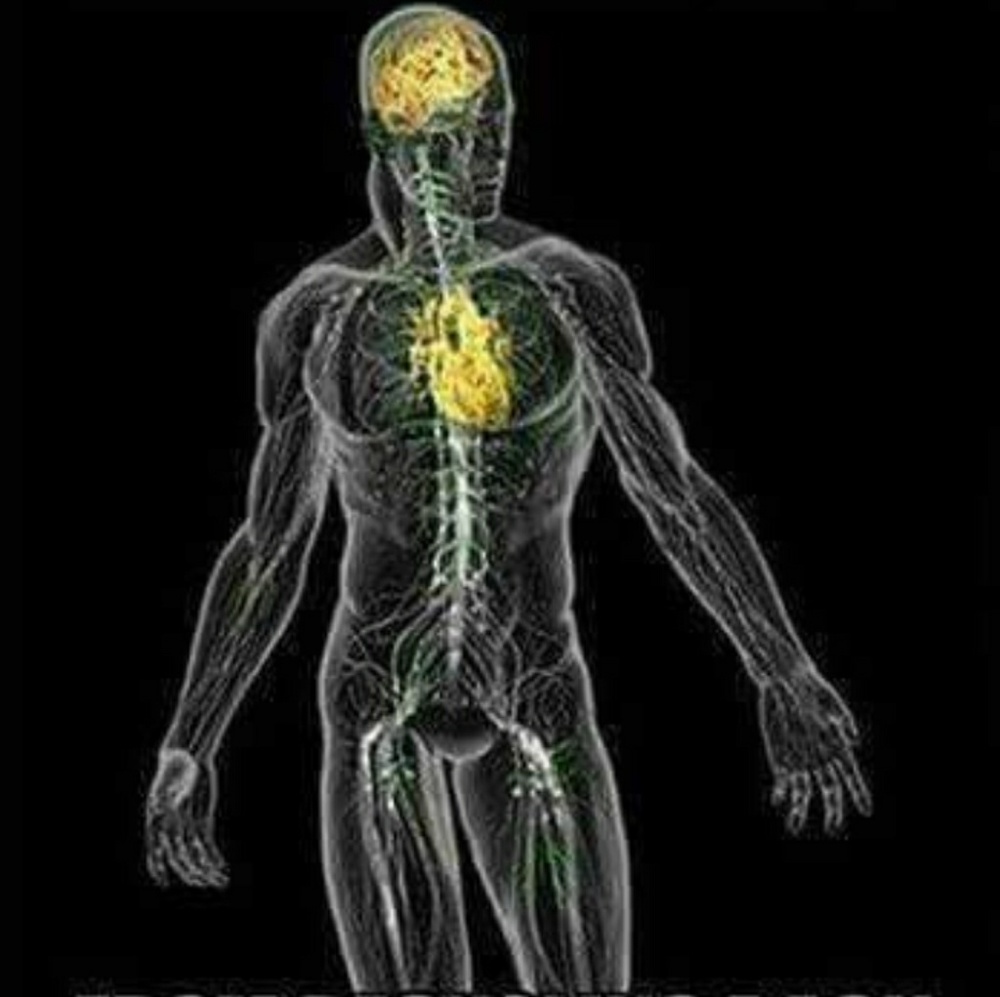 Meet your Posher, Demarco